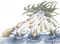 2025-03-02Mer de larme